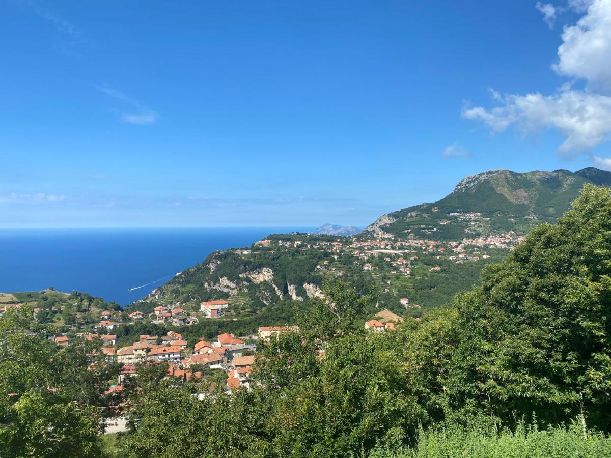B&B Villa Reginella Agerola Luaran gambar