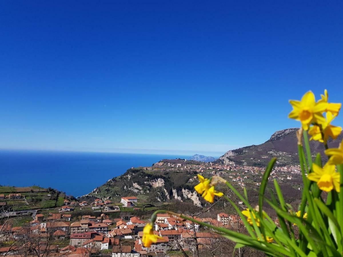 B&B Villa Reginella Agerola Luaran gambar